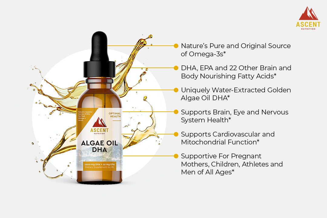 Algae Oil DHA Omega-3's - Vegan and Vegetarian, 1000 mg by Ascent Nutrition